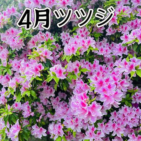 伊都山海渓 Itoshima Buitenkant foto