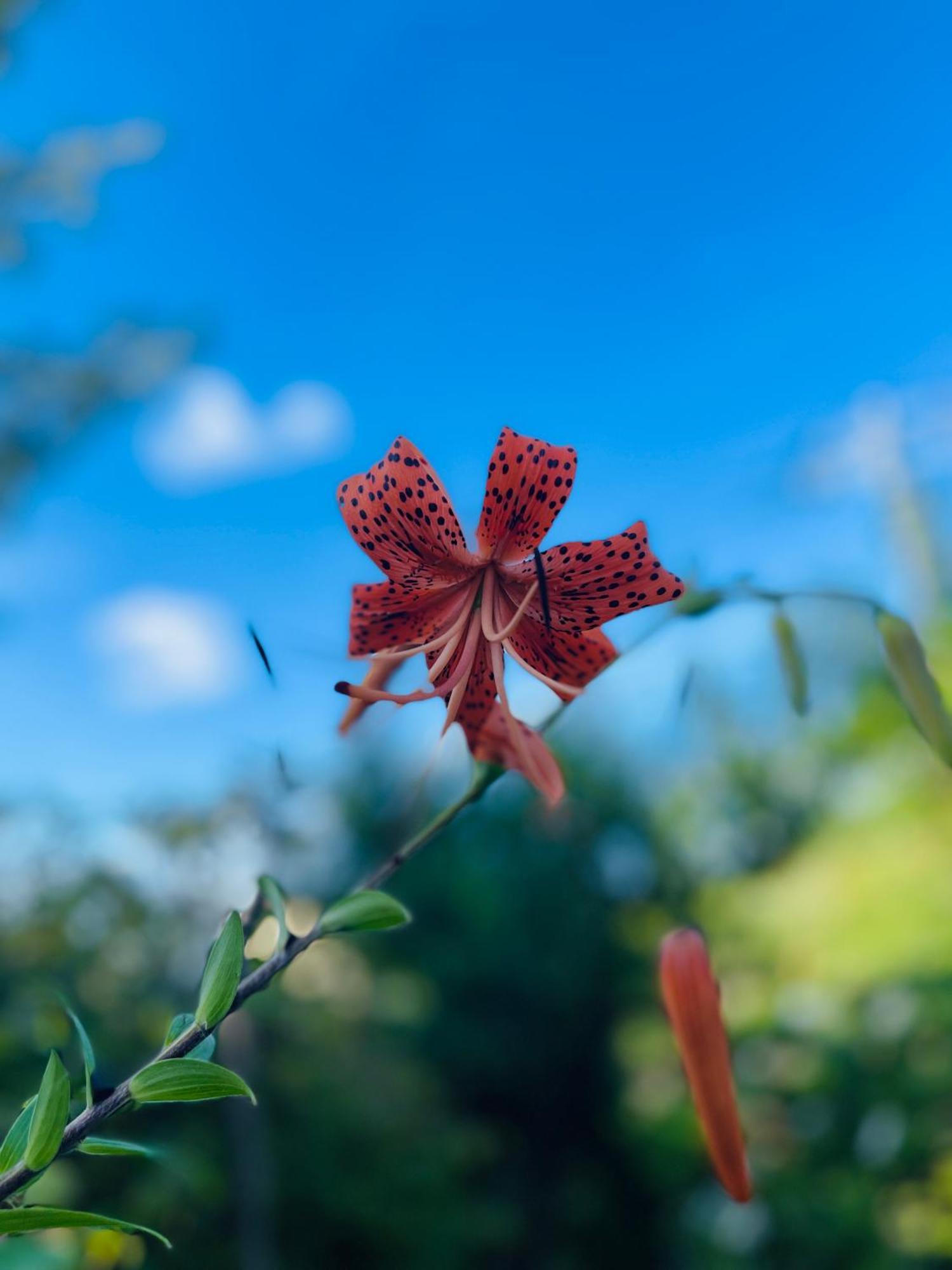 伊都山海渓 Itoshima Buitenkant foto