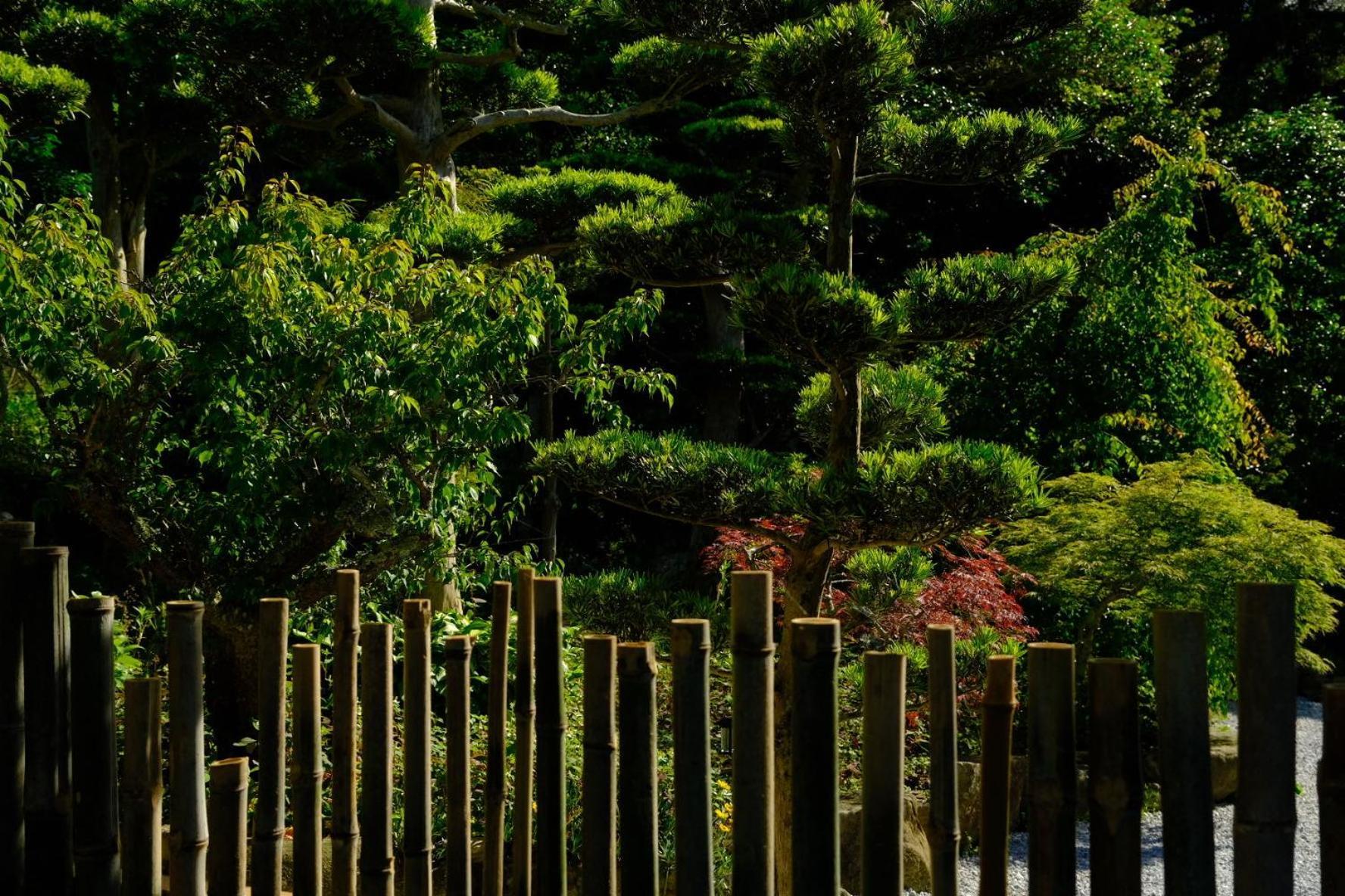 伊都山海渓 Itoshima Buitenkant foto