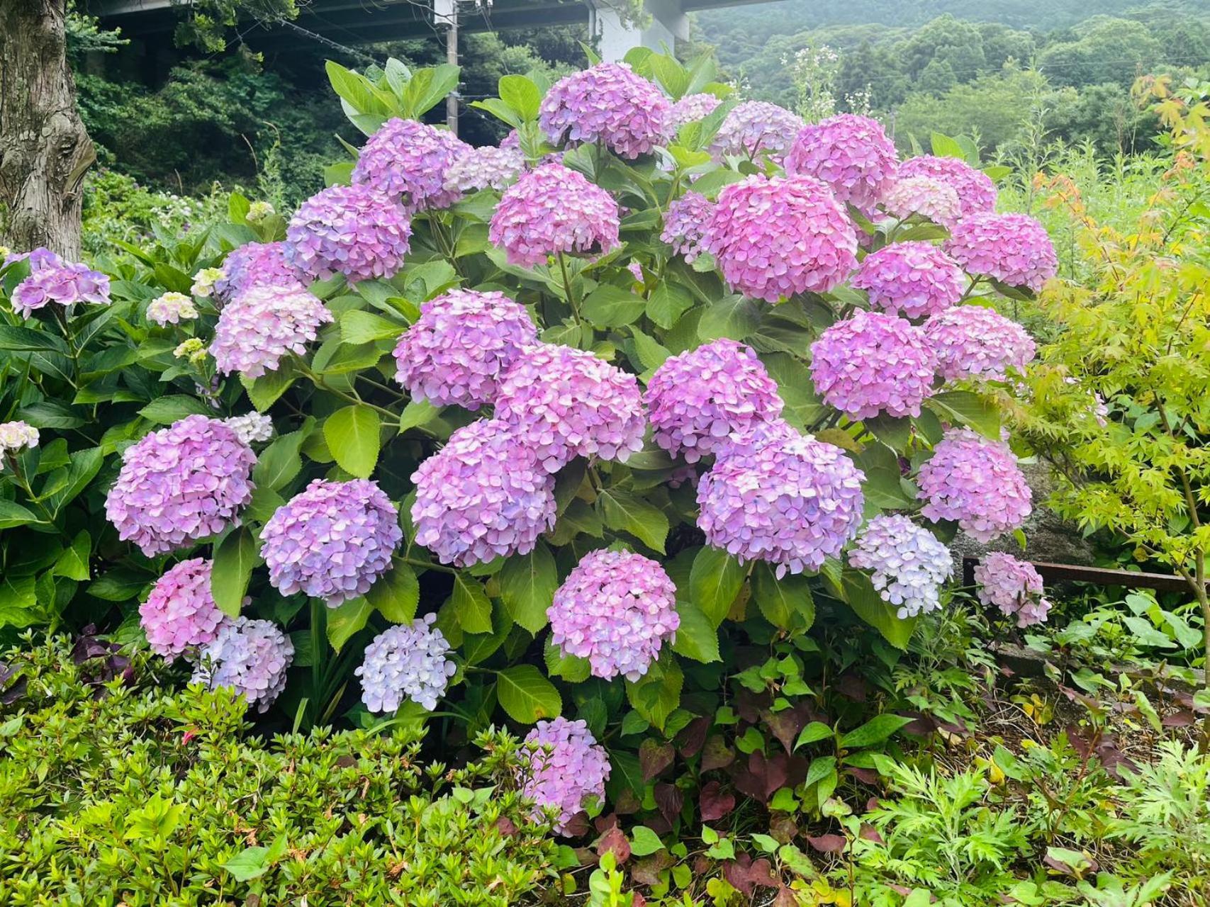伊都山海渓 Itoshima Buitenkant foto