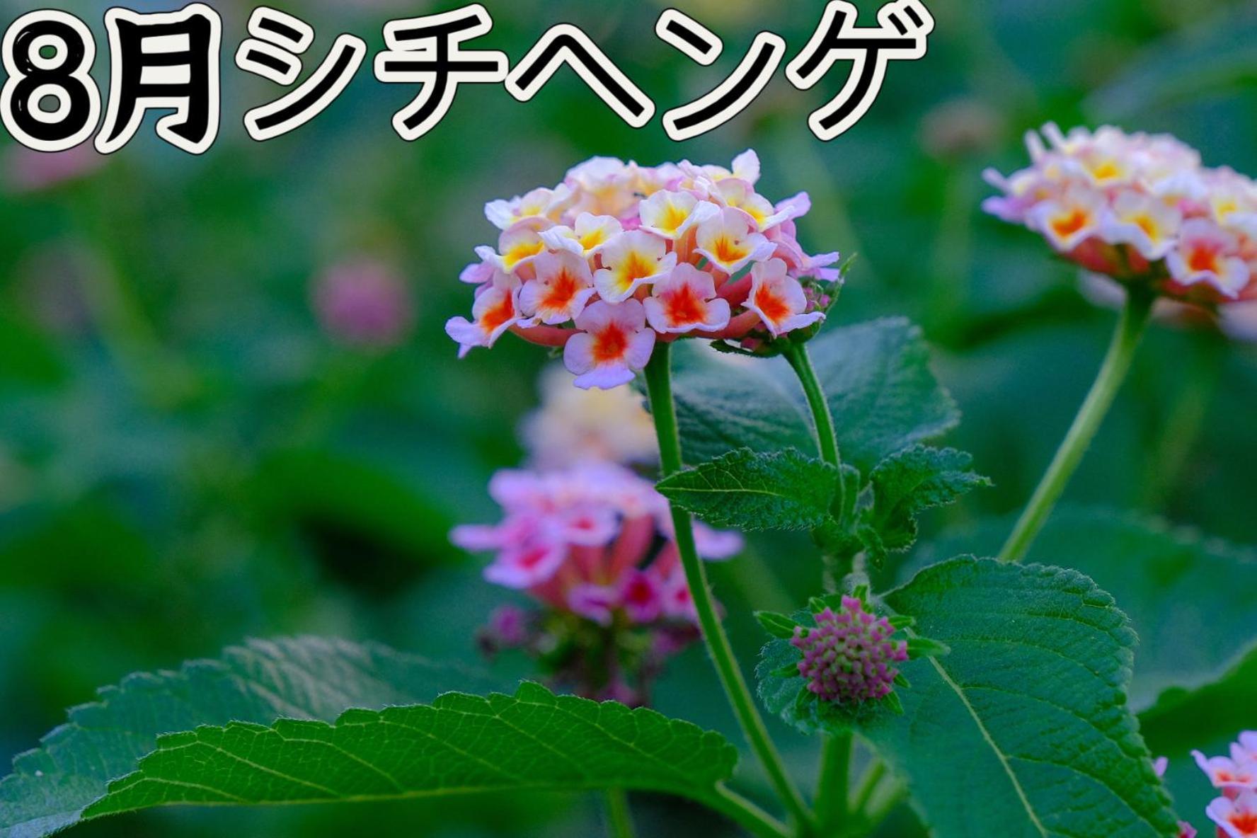 伊都山海渓 Itoshima Buitenkant foto