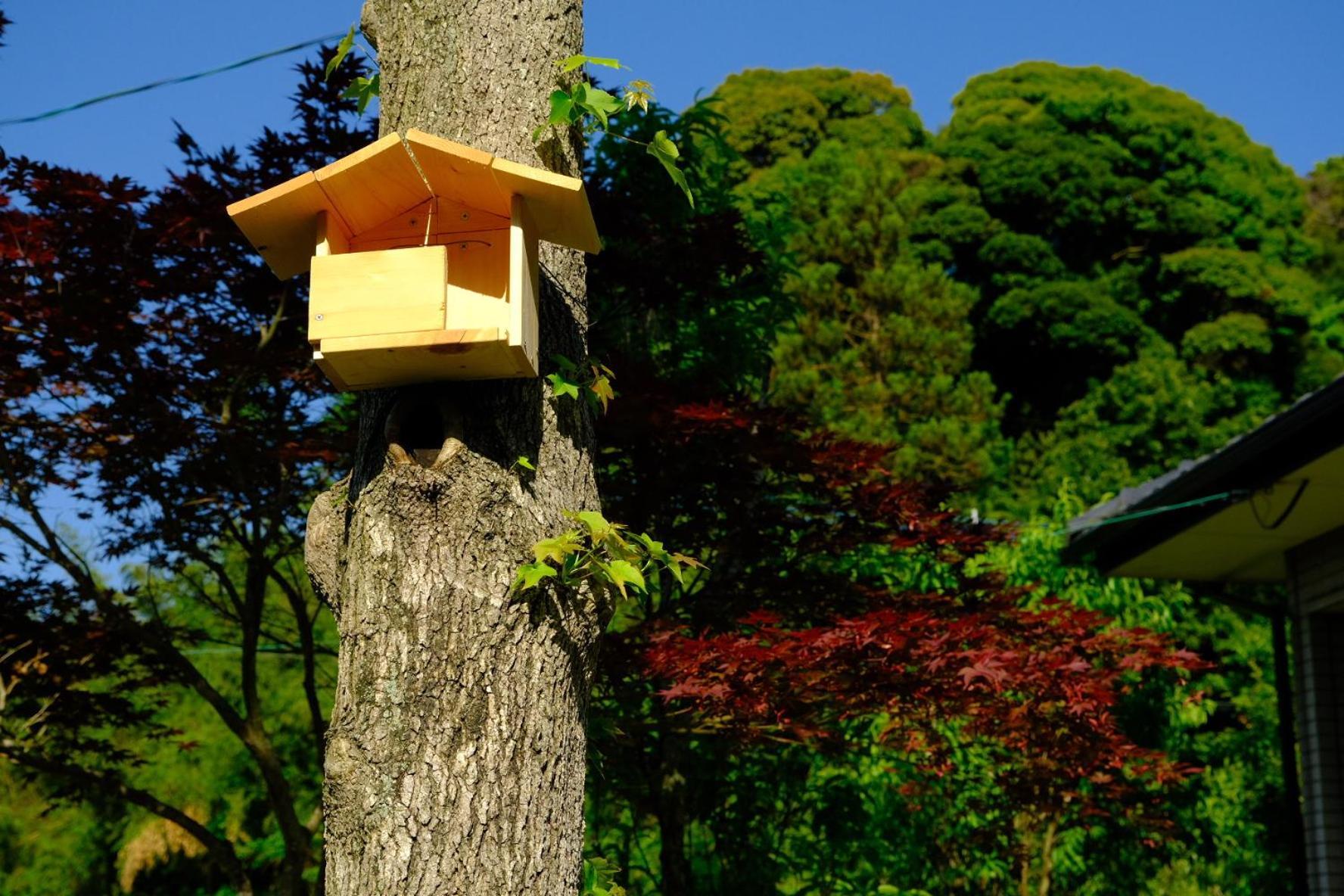 伊都山海渓 Itoshima Buitenkant foto