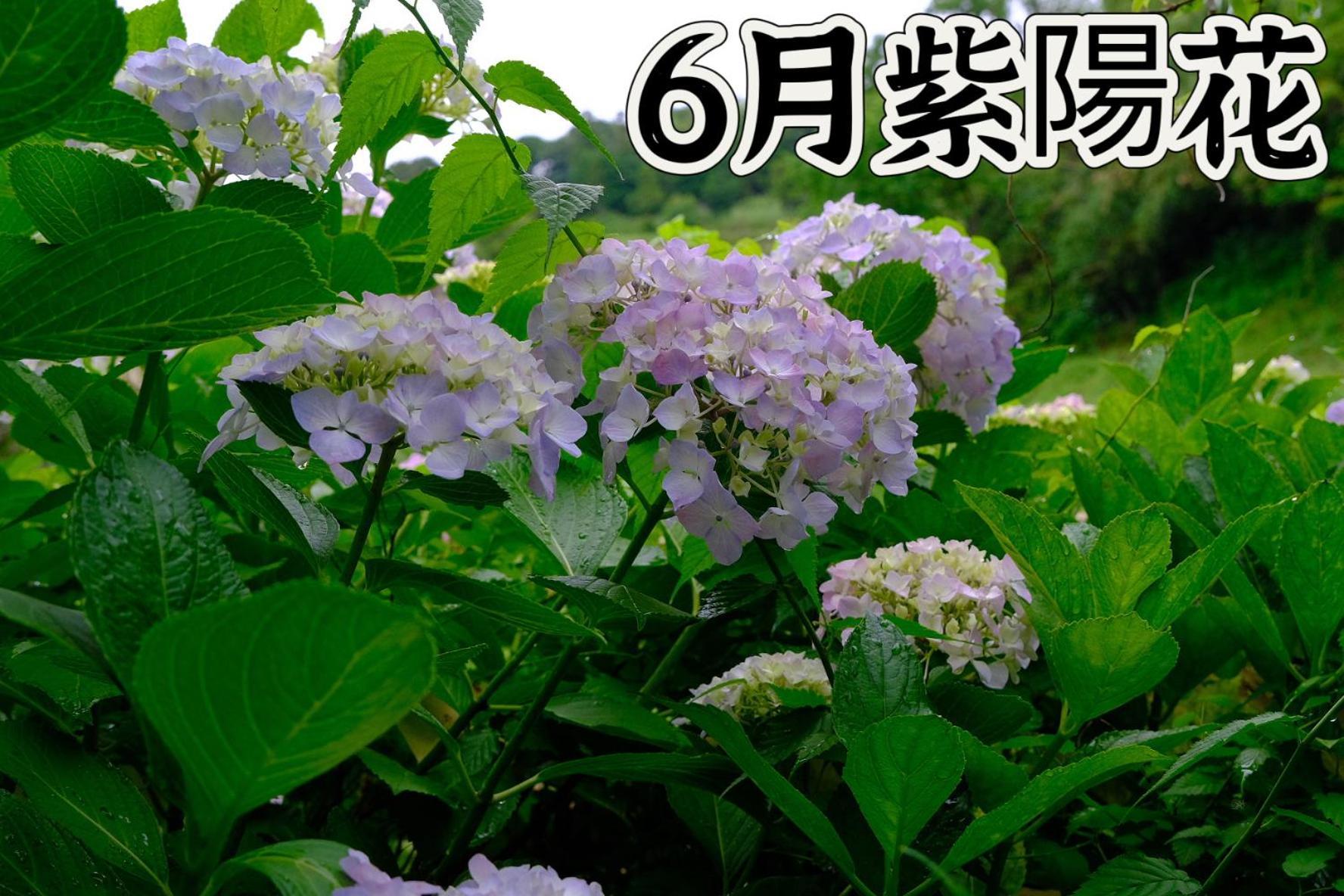 伊都山海渓 Itoshima Buitenkant foto