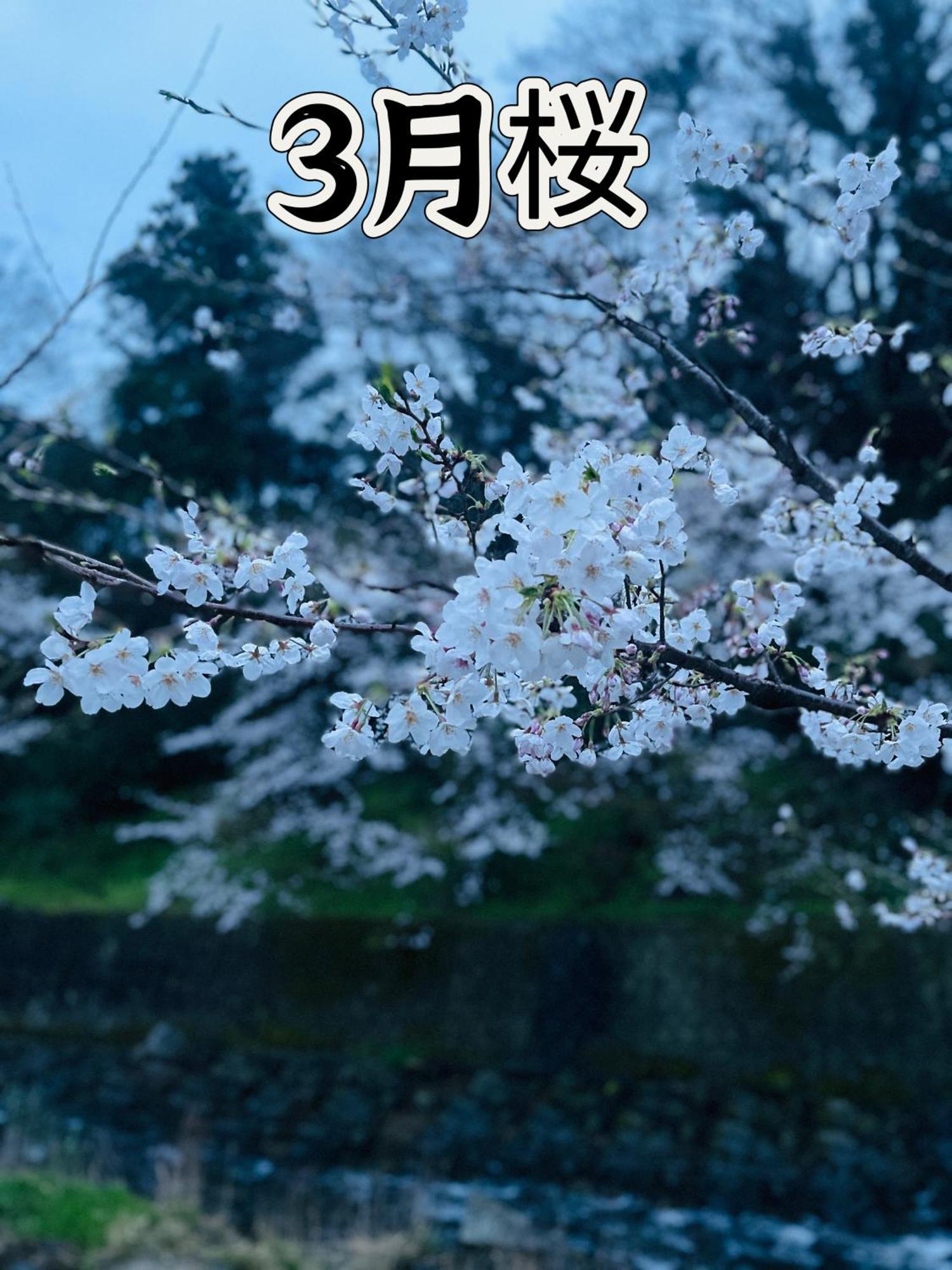 伊都山海渓 Itoshima Buitenkant foto
