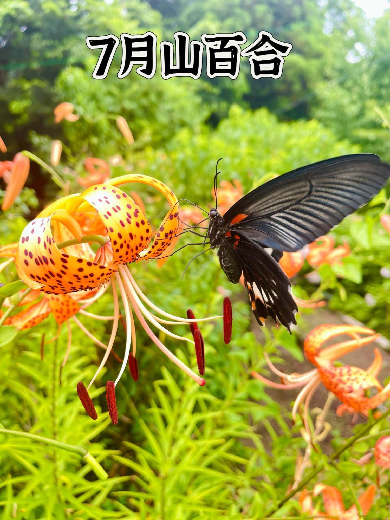 伊都山海渓 Itoshima Buitenkant foto