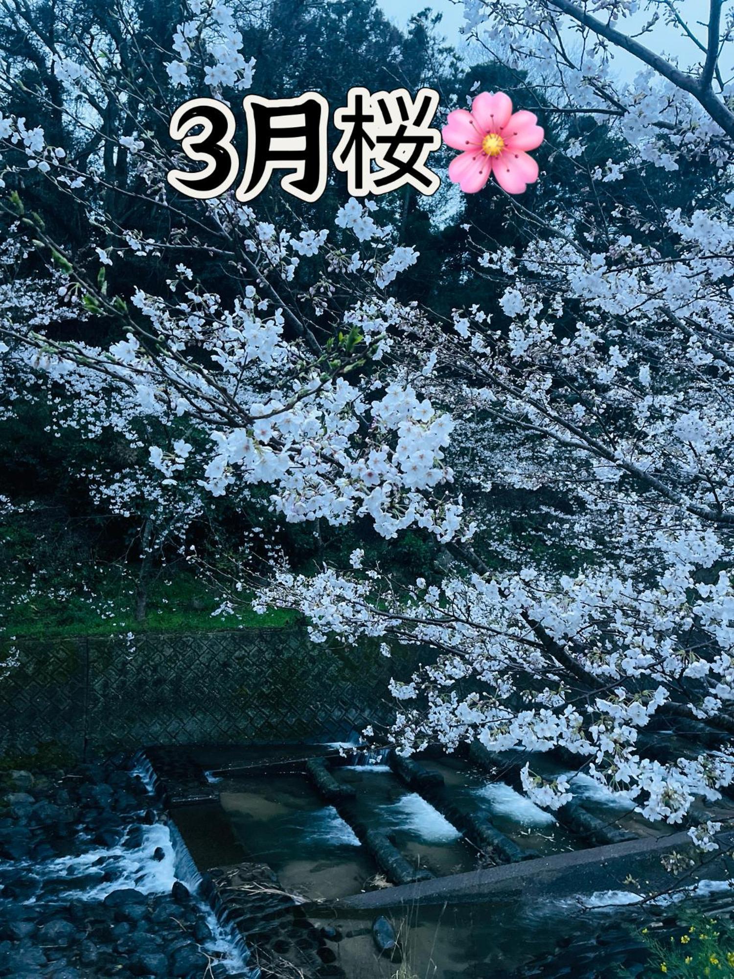 伊都山海渓 Itoshima Buitenkant foto