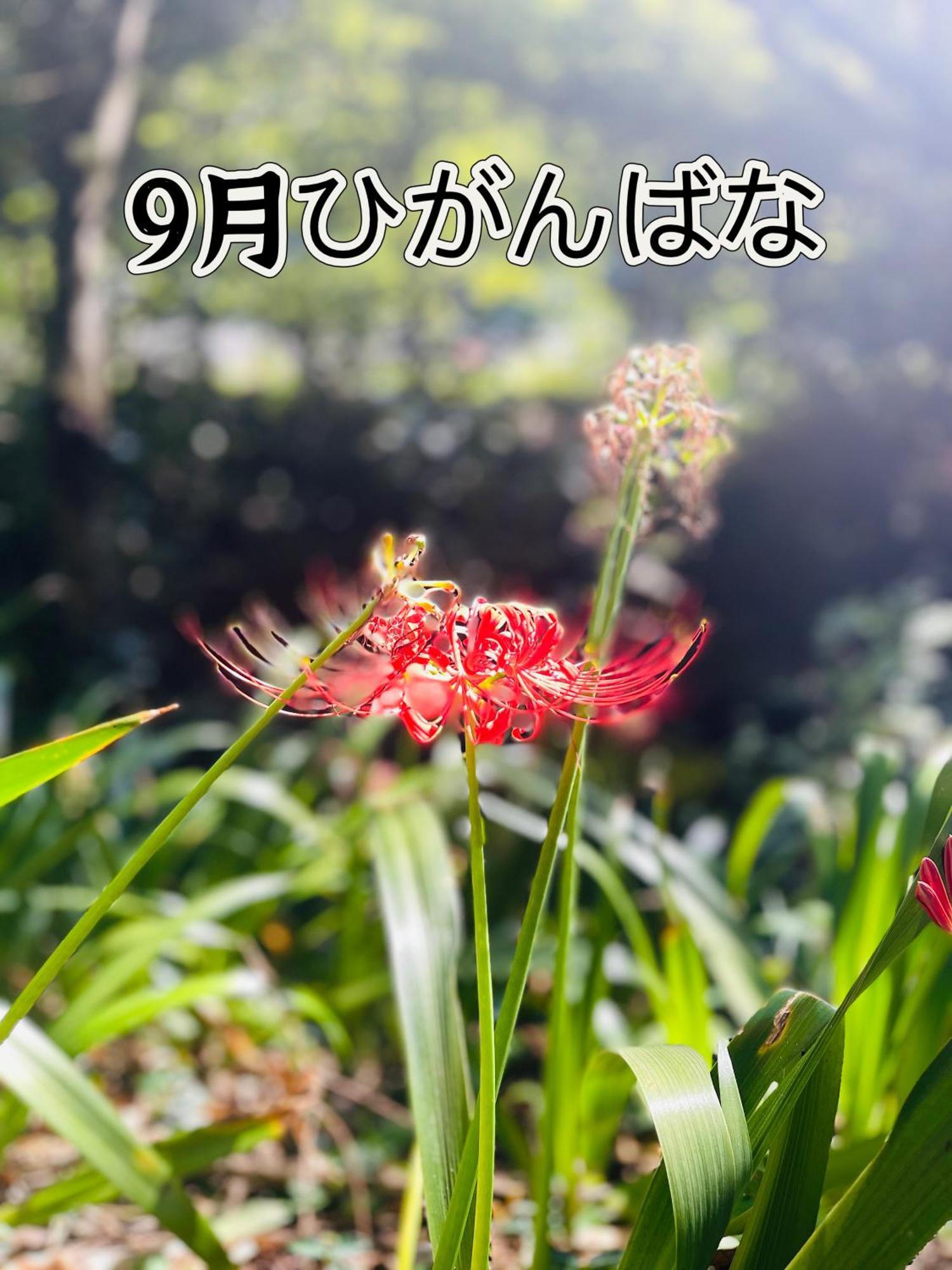 伊都山海渓 Itoshima Buitenkant foto