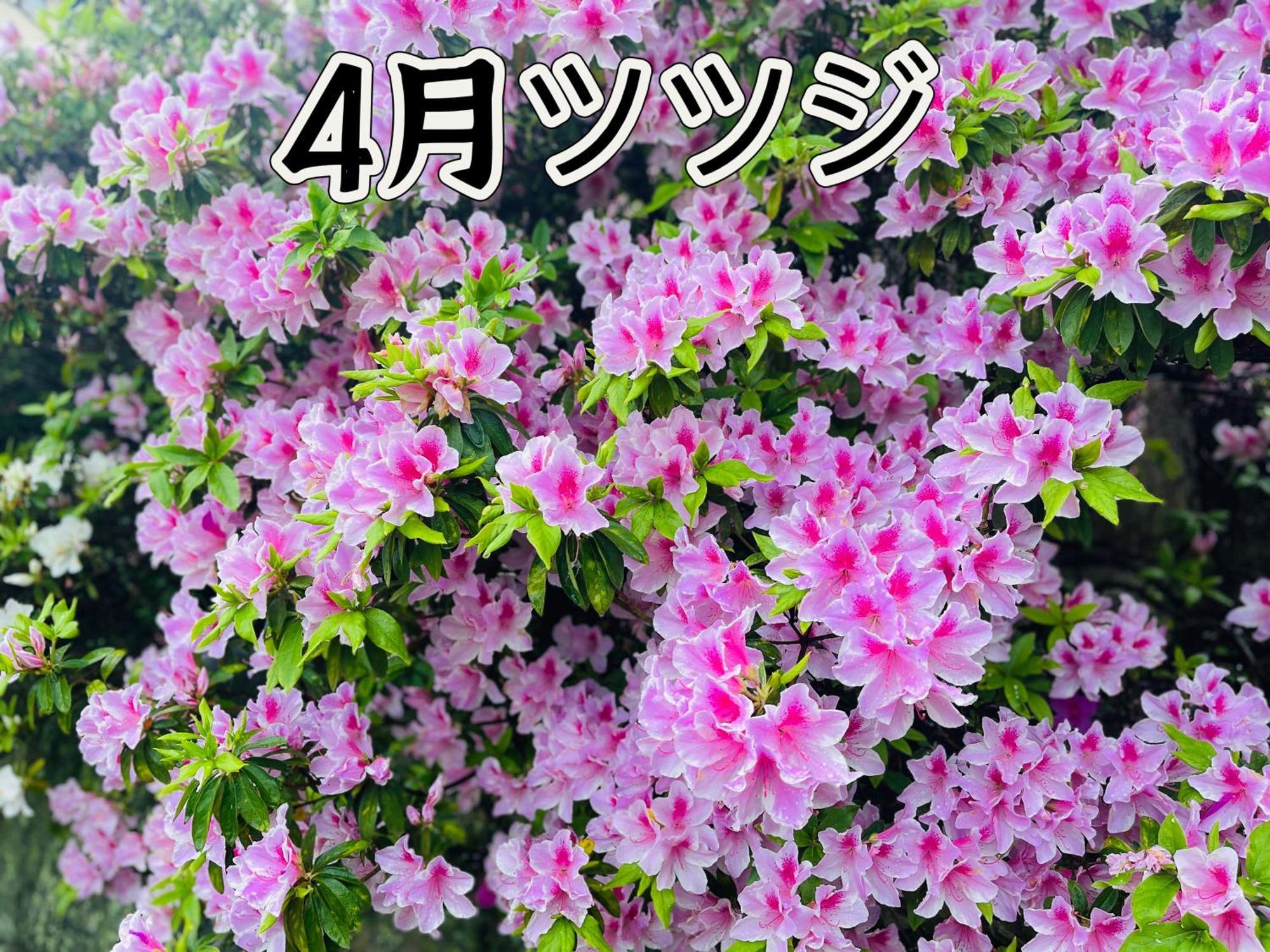伊都山海渓 Itoshima Buitenkant foto