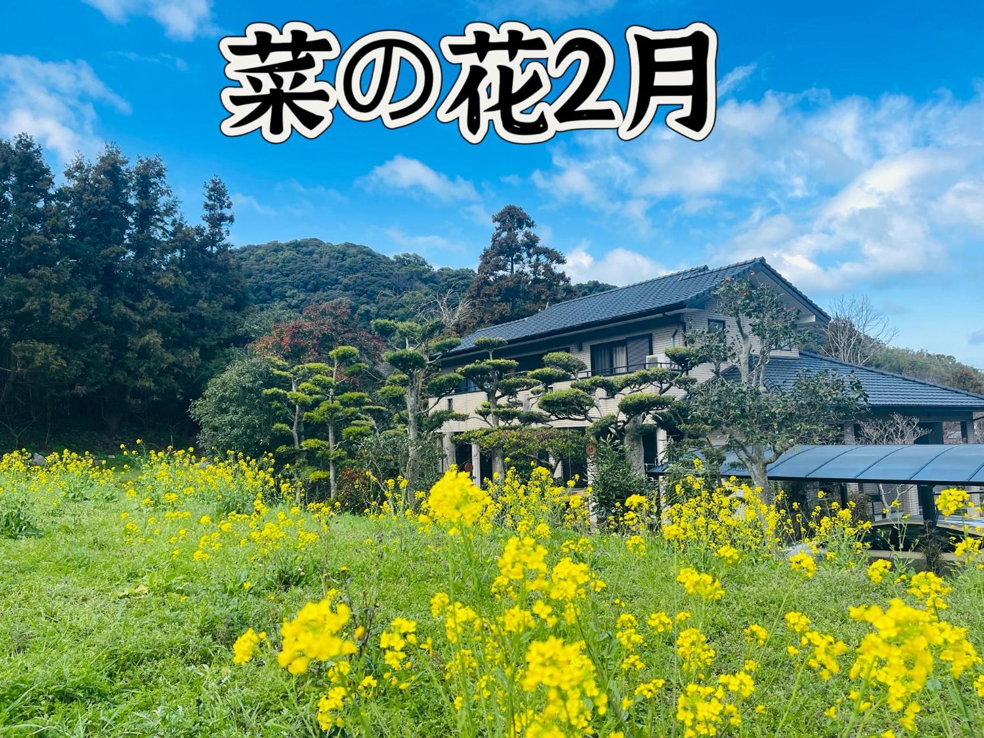 伊都山海渓 Itoshima Buitenkant foto